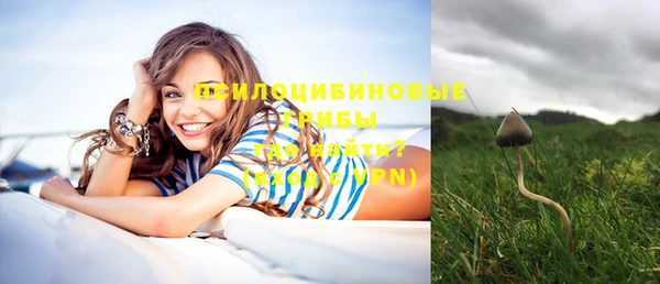 прущие крисы Арсеньев