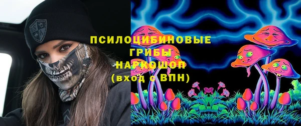 прущие крисы Арсеньев