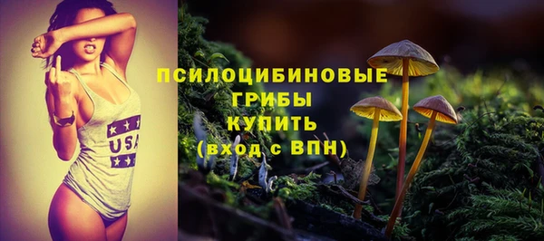 прущие крисы Арсеньев