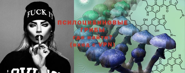 прущие крисы Арсеньев